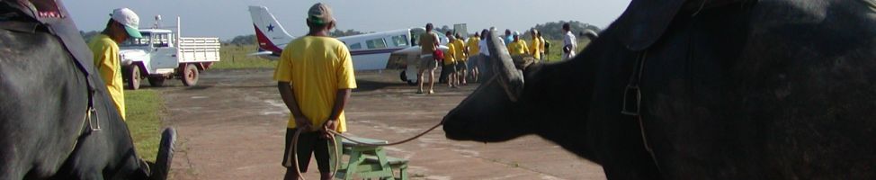 Pará - Ilha Mexiana