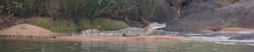 Pará - Rio Xingu