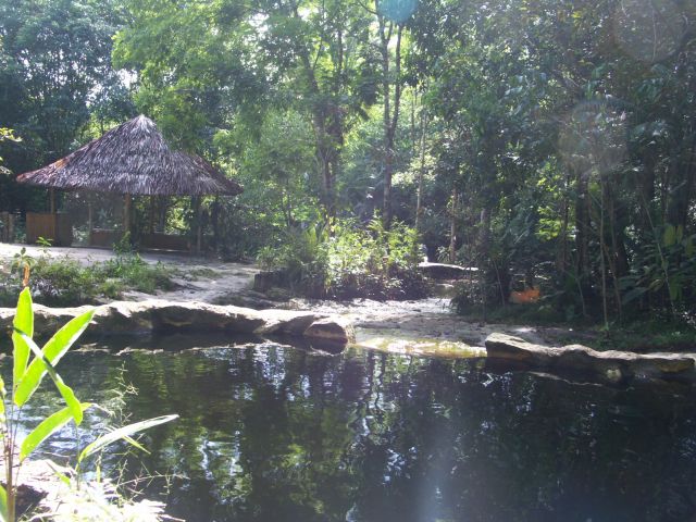 lodge Amazon Ecopark