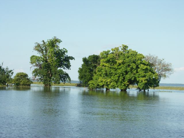meerdaagse excursie Diep in de Amazone