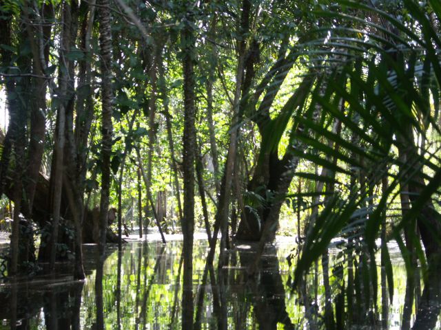 meerdaagse excursie Diep in de Amazone