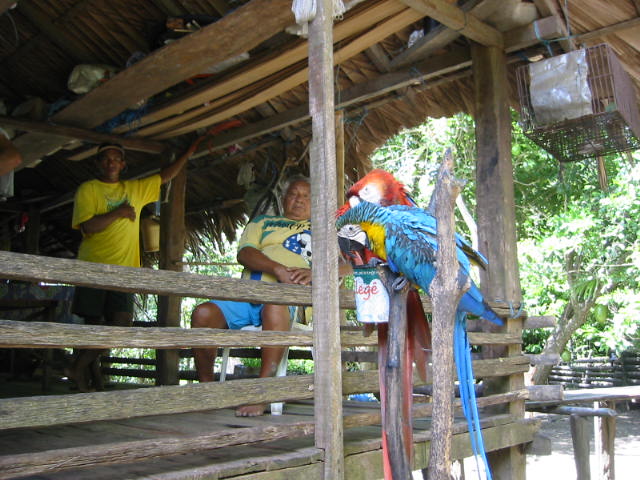 lodge Amazon Village Jungle Lodge