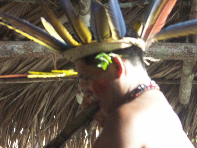 lodge Amazon Village Jungle Lodge