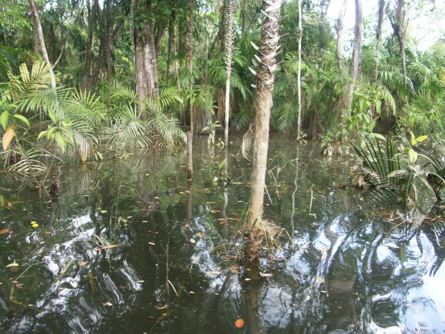 lodge Malocas Jungle Lodge