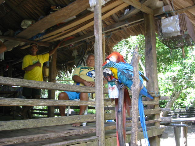 lodge Dolphin Lodge