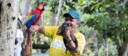 Amazon Tupana Lodge