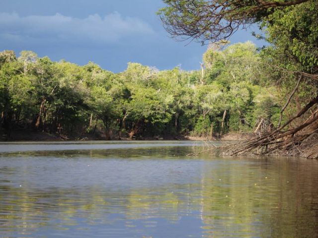 meerdaagse excursie Amazon Survival