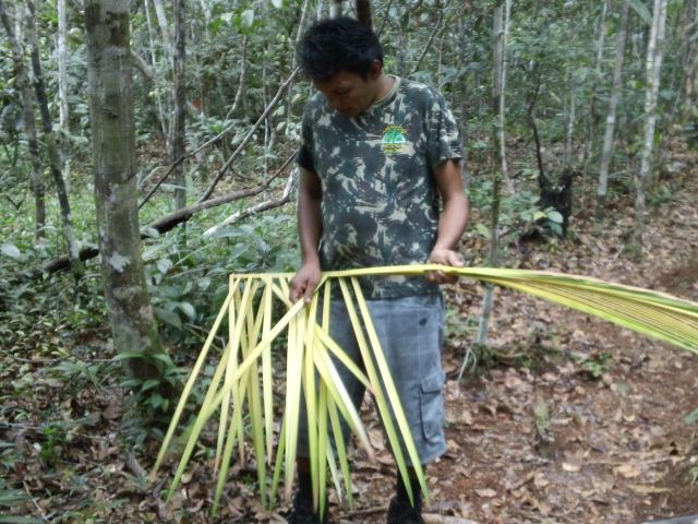 meerdaagse excursie Amazon Survival
