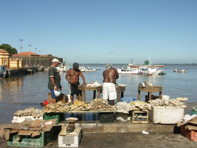 meerdaagse excursie Amazone excursie