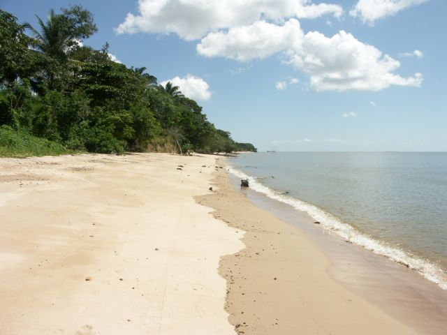 meerdaagse excursie Amazone excursie
